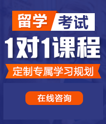 日本韩国白丝caobi视频留学考试一对一精品课